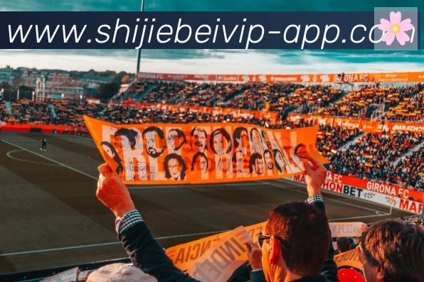 APP界面展示